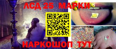 гашик Гусев