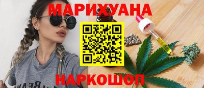 индика Гусиноозёрск