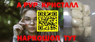 гашик Гусев