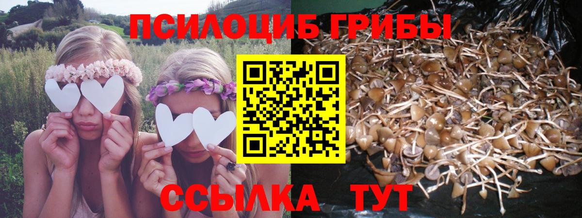 Галлюциногенные грибы GOLDEN TEACHER  Вход с VPN  Евпатория 