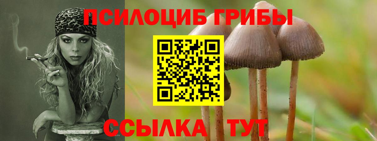 Псилоцибиновые грибы Cubensis Евпатория